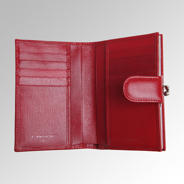 FRAMED FRENCH PURSE
